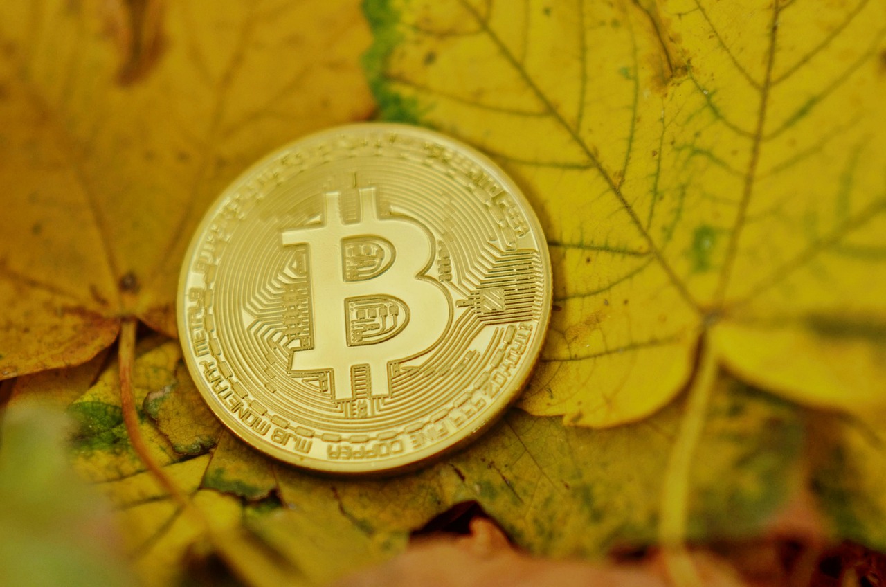美商务部长之子Brandon联合Tether、软银及Bitfinex成立21 Capital！注资比特币 挑战微策略